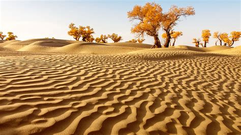 china desert area